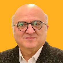 حامد وکیلی