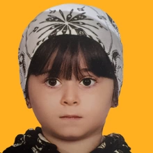 ستین خان محمدی