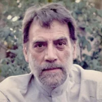 هادی اسلامی