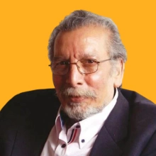 بهمن مفید