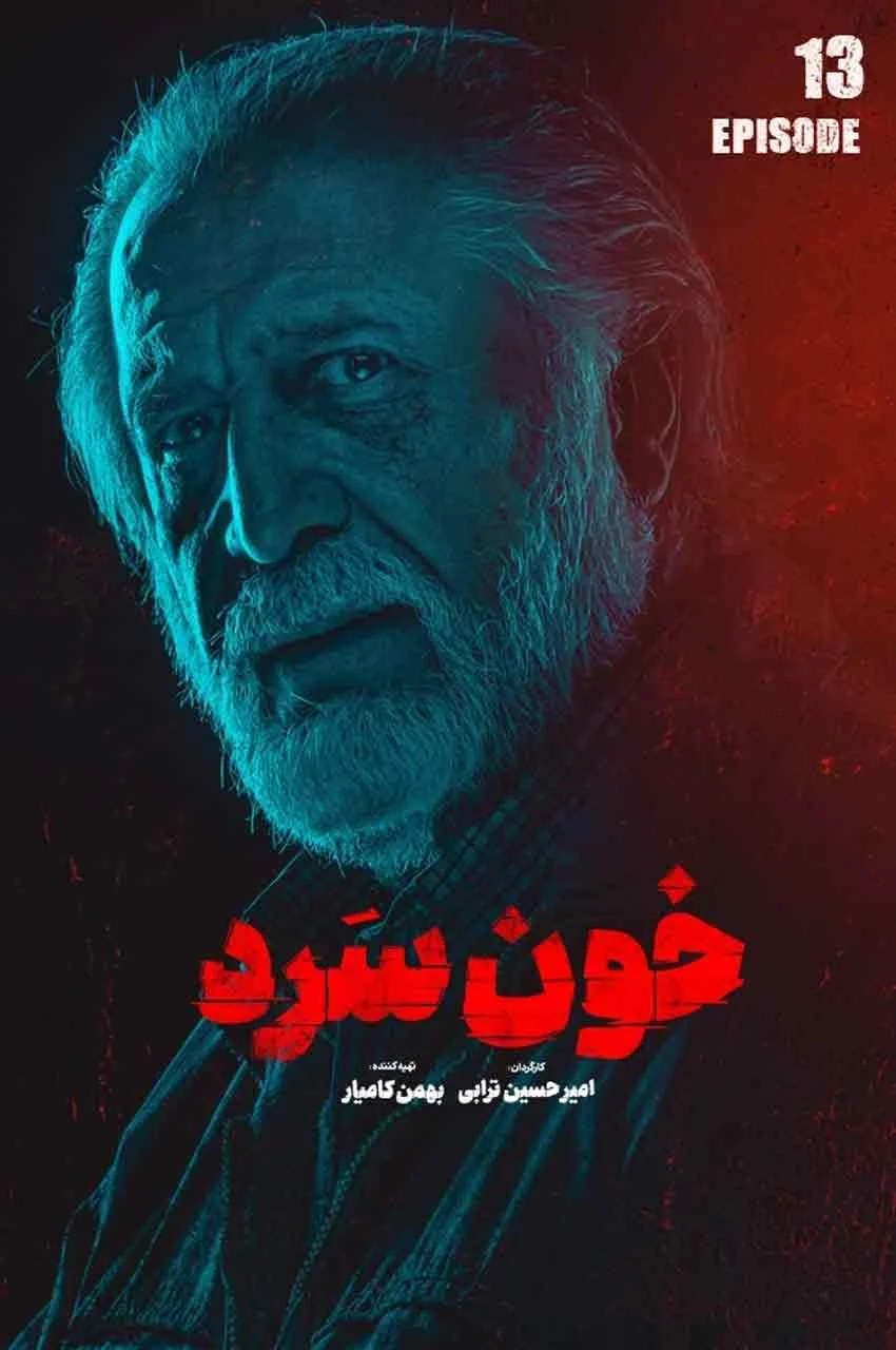 قسمت 13