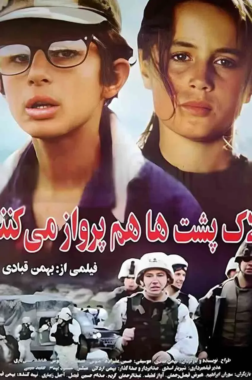 فیلم لاک پشت ها پرواز نمی کنند