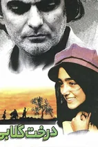 فیلم درخت گلابی