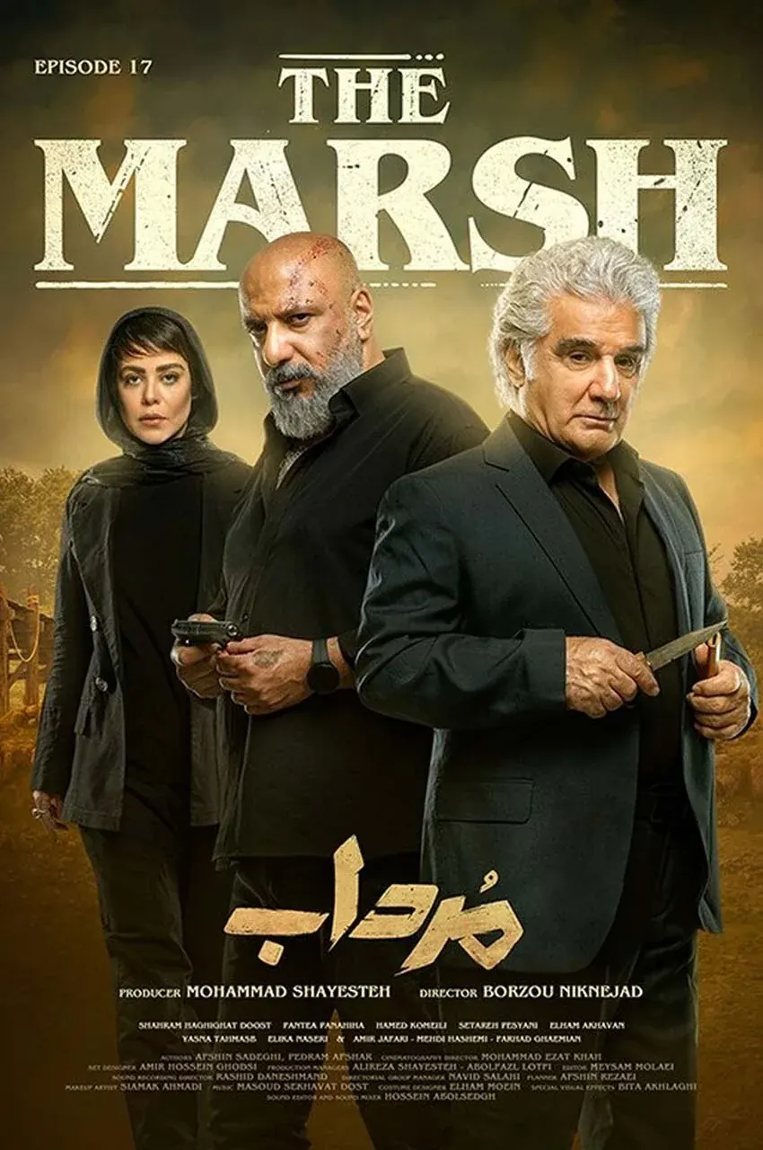 قسمت 17
