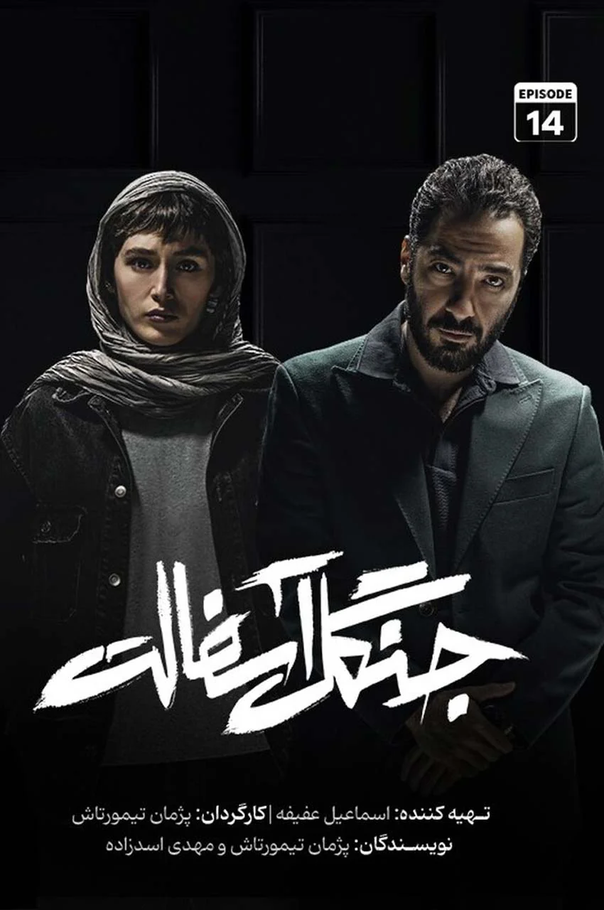 قسمت 14 (پایان سریال)