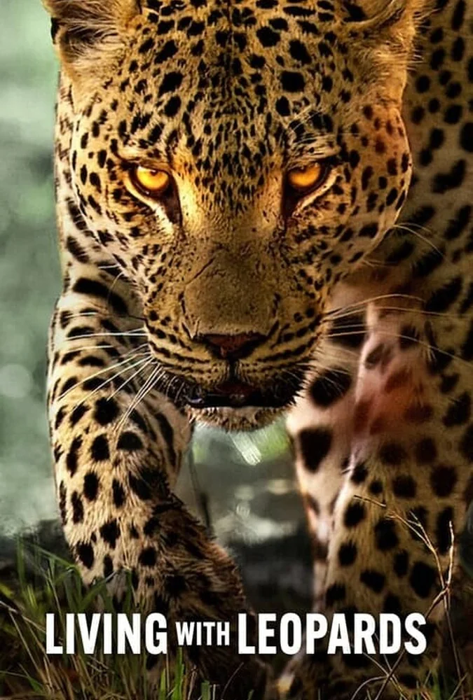 مستند زندگی با پلنگ ها